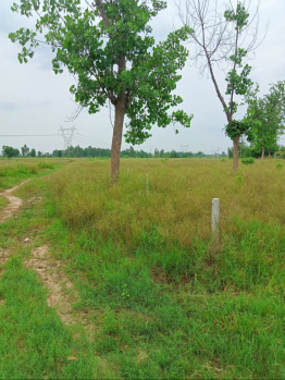 Property for sale in New Moradabad