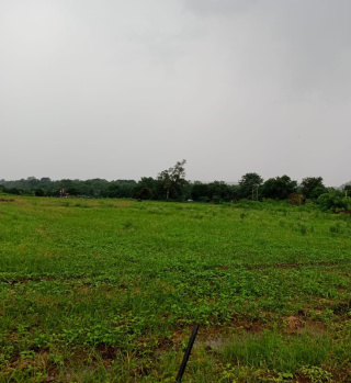 Agricultural/Farm Land for Sale in Baheri, Bareilly (9 Acre)