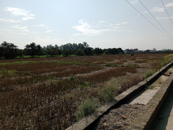 Property for sale in Pratappur, Kashipur