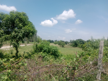 Property for sale in Bail Parao, Nainital