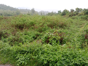 Residential Plot for Sale in Kotabagh, Nainital (13 Bigha)