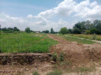 Residential Plot for Sale in Rudrapur Udham, Udham Singh Nagar (200 Sq. Yards)