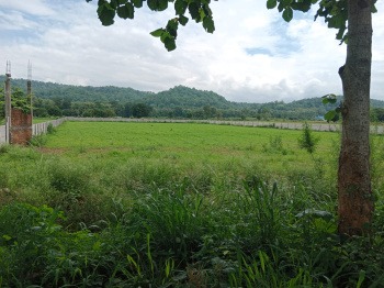 Residential Plot for Sale in Bail Parao, Nainital (7 Bigha)