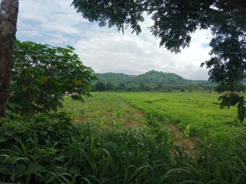 Residential Plot for Sale in Bail Parao, Nainital (7 Bigha)