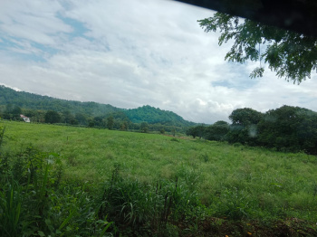 Residential Plot for Sale in Bail Parao, Nainital (3 Bigha)