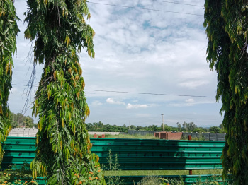Residential Plot for Sale in Bail Parao, Nainital (7 Bigha)