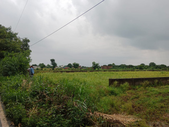 Residential Plot for Sale in Bail Parao, Nainital (6 Bigha)