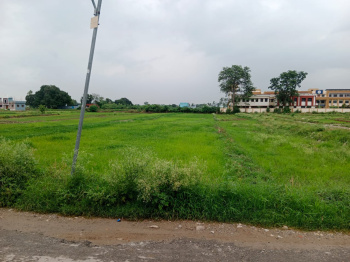 Residential Plot for Sale in Peerumadara, Nainital (9 Bigha)