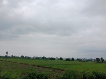 Residential Plot for Sale in Peerumadara, Nainital (50 Bigha)