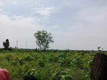 Residential Plot for Sale in Kaladhungi, Nainital (12 Bigha)