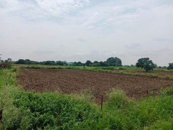 Residential Plot for Sale in Kaladhungi, Nainital (2 Bigha)