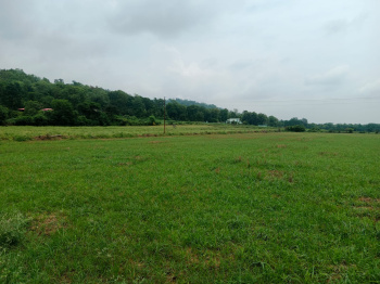 Residential Plot for Sale in Kaladhungi, Nainital (22 Bigha)