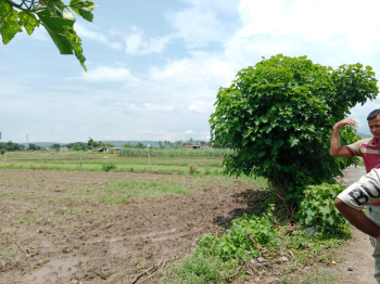 Agricultural/Farm Land for Sale in Bail Parao, Nainital (19 Bigha)