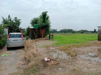 Residential Plot for Sale in Bail Parao, Nainital (5.75 Bigha)
