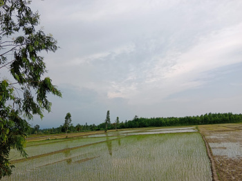 Agricultural/Farm Land for Sale in Bajpur, Udham Singh Nagar (2 Acre)
