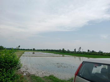 Agricultural/Farm Land for Sale in Bajpur, Udham Singh Nagar (2 Acre)
