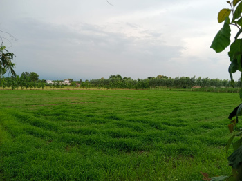 Property for sale in Bajpur, Udham Singh Nagar
