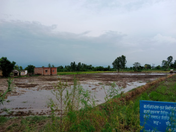 Agricultural/Farm Land for Sale in Bajpur, Udham Singh Nagar (2 Acre)