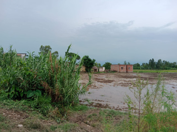 Property for sale in Bajpur, Udham Singh Nagar