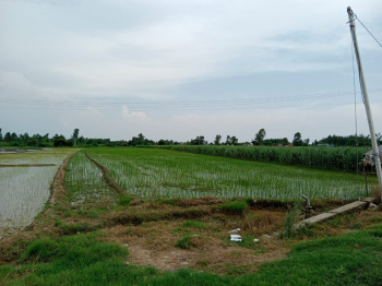 Agricultural/Farm Land for Sale in Bajpur, Udham Singh Nagar (10 Bigha)