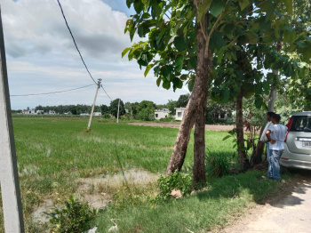 Agricultural/Farm Land for Sale in Kichha, Udham Singh Nagar (2 Acre)