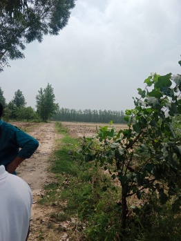Property for sale in Deputy Ganj, Moradabad