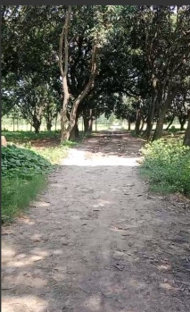 Property for sale in Suar, Rampur
