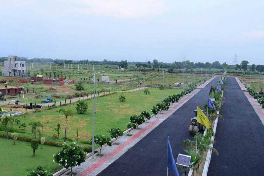Commercial Land is available for Sale for doing plotting in Virbhadra Road, Rishikesh