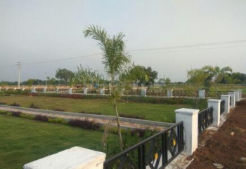 240000 Sq. Yards Commercial Lands /Inst. Land for Sale in Narendra Nagar, Rishikesh