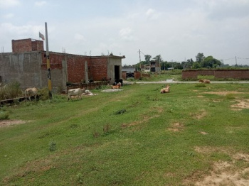 500 Sq. Yards Commercial Lands /Inst. Land for Sale in Veerbhadra Marg, Rishikesh