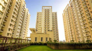 1 BHK Flats & Apartments for Sale in Alwar Bypass Road, Bhiwadi (555 Sq.ft.)