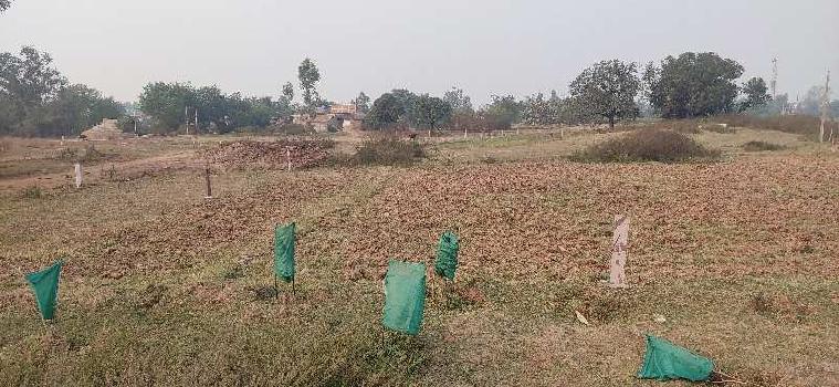 74 Dismil Commercial Lands /Inst. Land for Sale in Rampur Baghelan, Satna