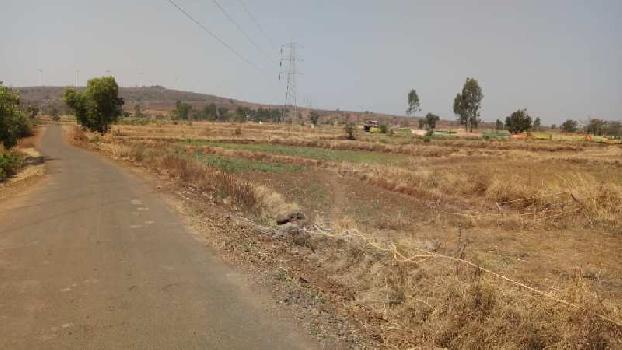 55 Acre Agricultural/Farm Land for Sale in Shirala, Sangli