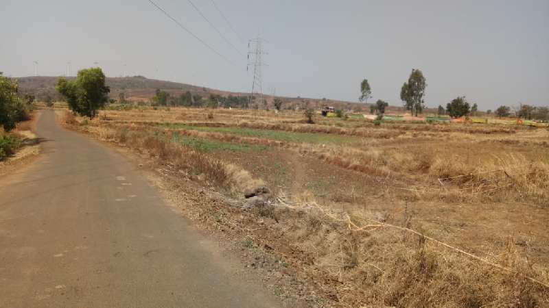 55 Acre Agricultural/Farm Land For Sale In Shirala, Sangli