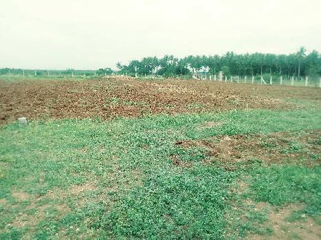 1 Acre Industrial Land / Plot for Sale in Kalampalayam, Coimbatore