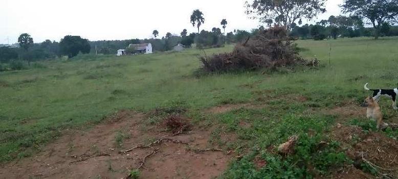1 Acre Agricultural/Farm Land for Sale in Kinathukadavu, Coimbatore