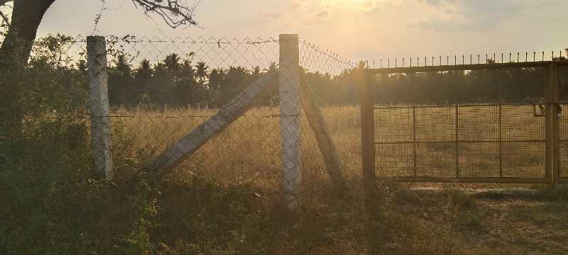 2 Acre Agricultural/Farm Land for Sale in Malumichampatti, Coimbatore