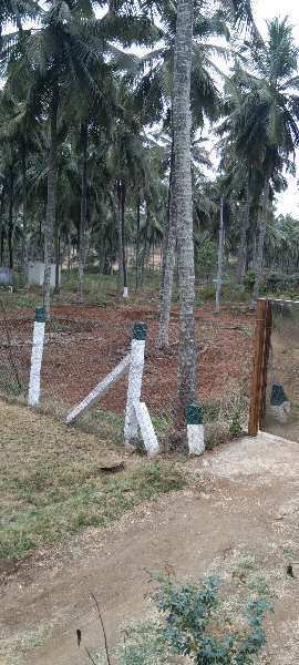 3 Acre Agricultural/Farm Land for Sale in Malumichampatti, Coimbatore