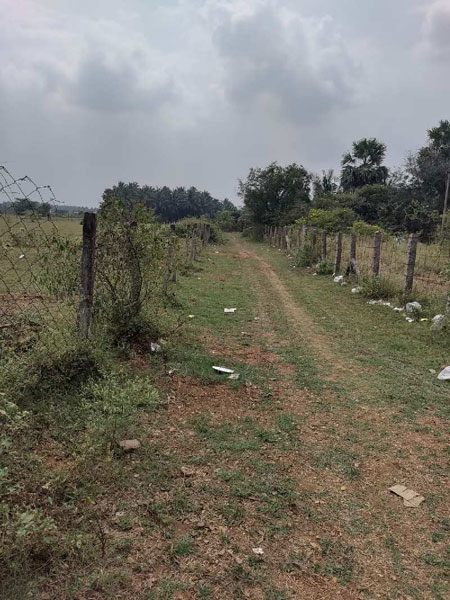 2 Acre Agricultural/Farm Land for Sale in Othakalmandapam, Coimbatore