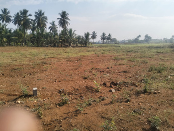 50 Cent Industrial Land / Plot for Sale in Seerapalayam, Coimbatore