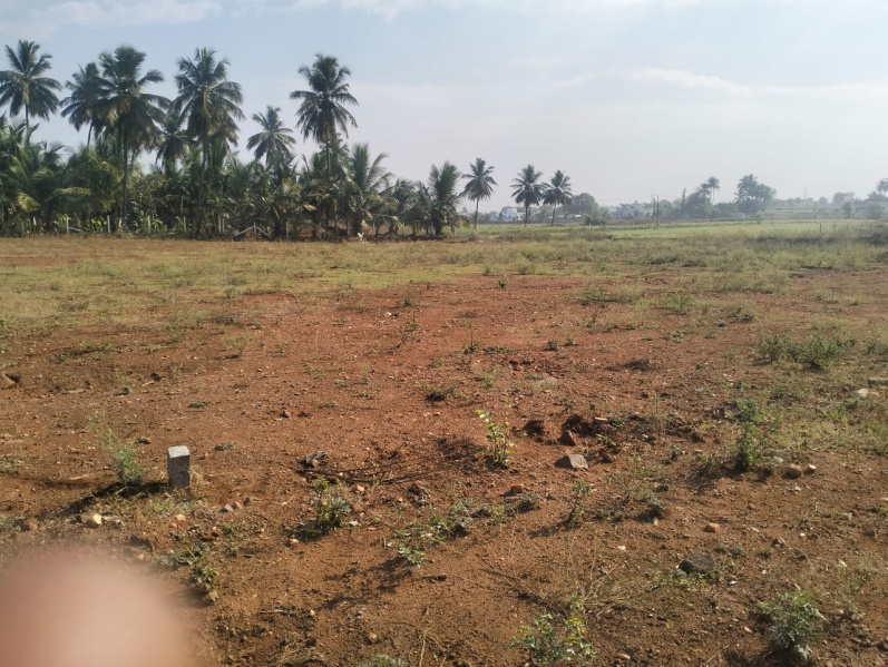 50 Cent Industrial Land / Plot for Sale in Seerapalayam, Coimbatore