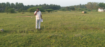 Property for sale in Kinathukadavu, Coimbatore