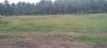 3.5 Cent Residential Plot for Sale in Othakalmandapam, Coimbatore