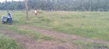 3 Cent Residential Plot for Sale in Othakalmandapam, Coimbatore