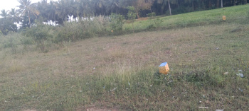 3 Cent Residential Plot for Sale in Chettipalayam, Coimbatore