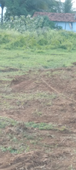 Property for sale in Kinathukadavu, Coimbatore