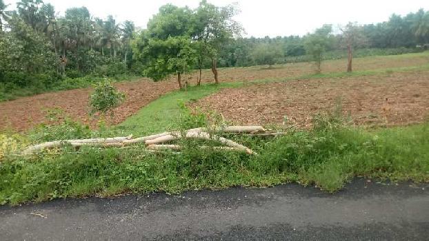 3 Acre Agricultural/Farm Land for Sale in Nachipalayam, Coimbatore