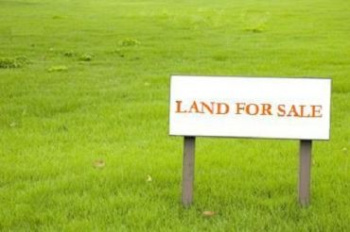 Industrial Land for Sale in Sarigam GIDC