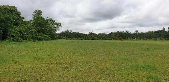 2.5 Acre Industrial Land / Plot for Sale in Sarigam, Vapi