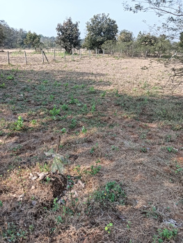 7 Guntha Agricultural/Farm Land for Sale in Murbad, Thane